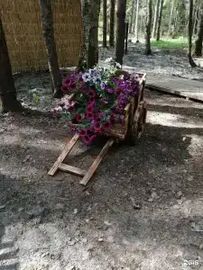 Живой Ручей - 31