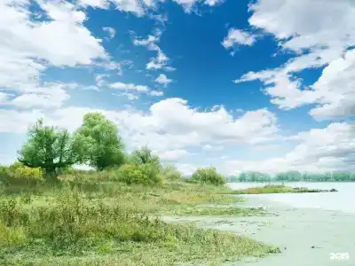 Икра - 17