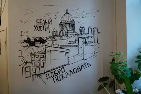 Белый - 50