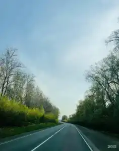 Шелест - 43