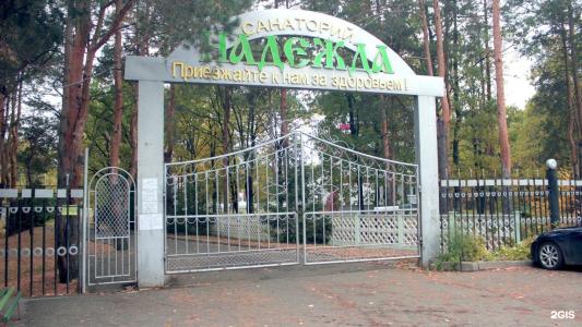 Надежда - 80