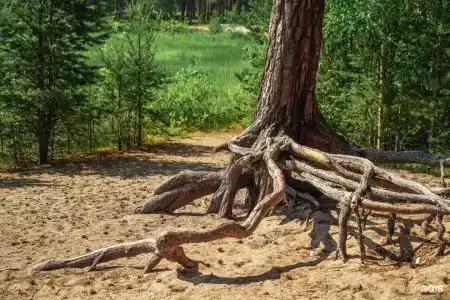 Карелия Клуб Family - 26