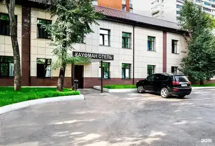 Кауфман - 11
