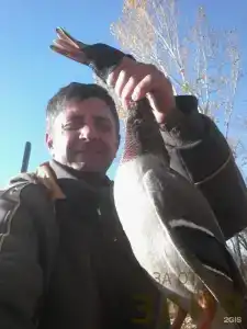 Заря - 19