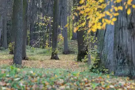 Усадьба Горки - 26