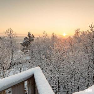 Арктик Хоум - 11