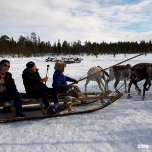 Арктик Хоум - 67