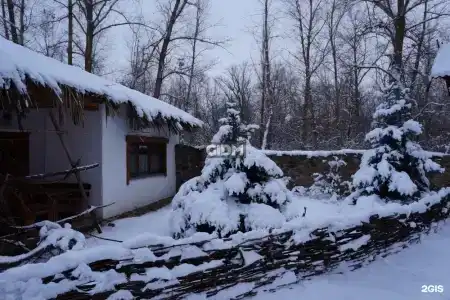 Репино - 55