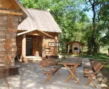 Репино - 48