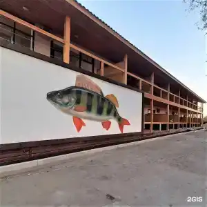 Fish Sense - 120