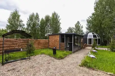 Берёзовая роща - 3
