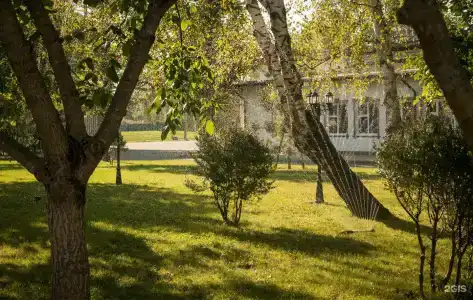 Турист - 31