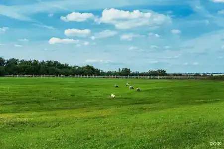 Скорняково-Архангельское - 33
