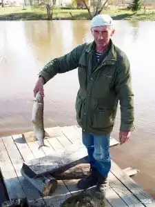 Сафари Парк - 80