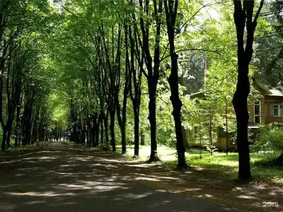 Клязьма - 56