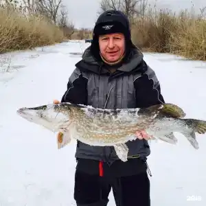 Найт Флайт Дельта - 57