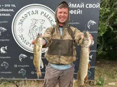 Клуб Золотая Рыбка - 110