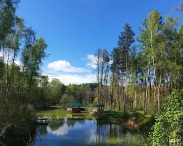 Берлога - 11