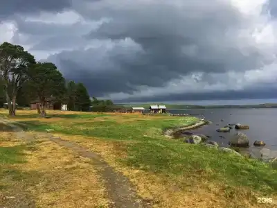 Кедр Грасс Белое Море - 83
