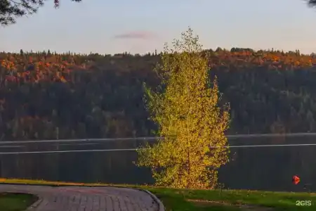 Звездный - 29