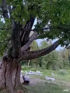 Селигер Палас - 47