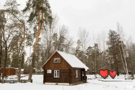 Русский лес - 39