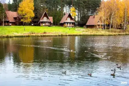 Берендеевка - 26