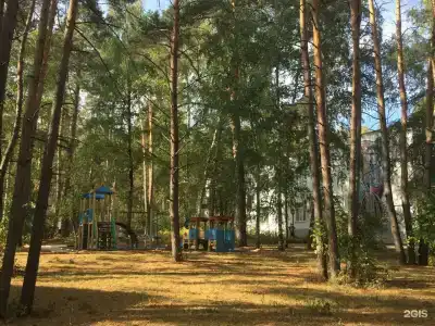 Русский бор - 84