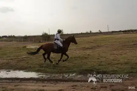 Загородный отель Konakoff в Сажино - 99