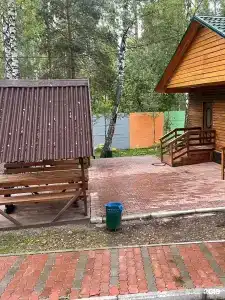 Белая сова - 43
