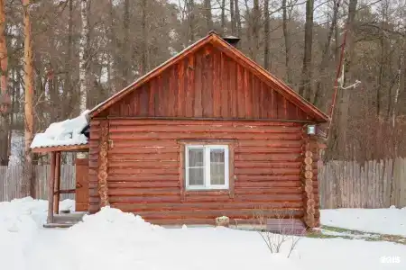 Русский лес - 38