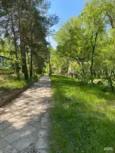 Чайка - 9