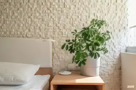 Plants & Friends Hostel - 26