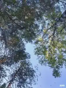 База отдыха на воде Оланга - 40