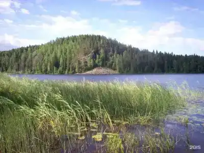 Хекселя - 39