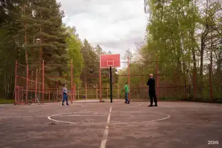 Русский лес - 70