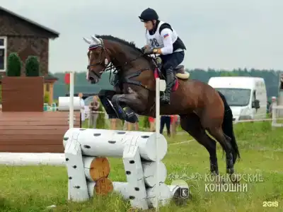 Загородный отель Konakoff в Сажино - 85