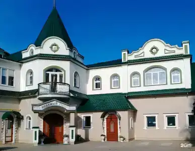 Чайка - 1
