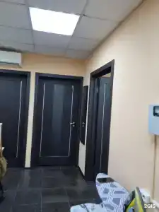 Хона - 12