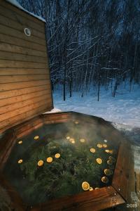 Sviyaga Glamp - 106