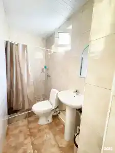 Калатея - 31
