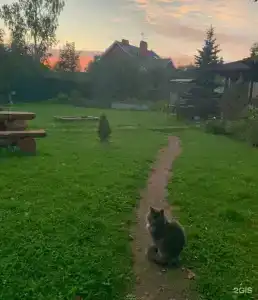 Домик на Березовой 6 - 15