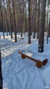 Буревестник - 114