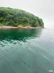 Красный кот - 61