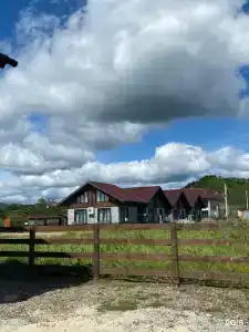 Красный кот - 38