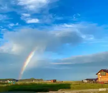 Красный кот - 18