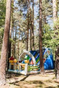 Altay Siesta - 5