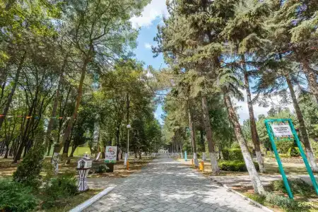 Жемчужина России - 49