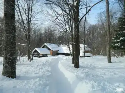 Эдельвейс - 24