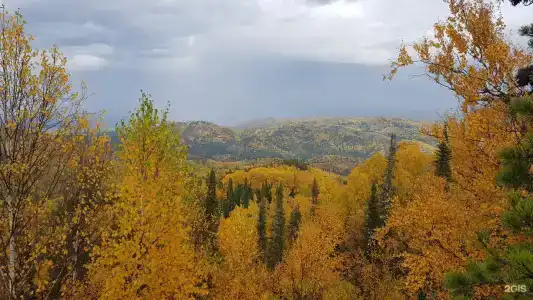 Усадьба Медовая - 8